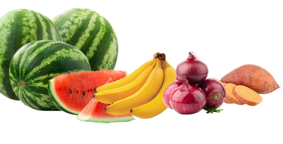 fruit1