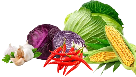 collection of fruits